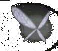 Navi